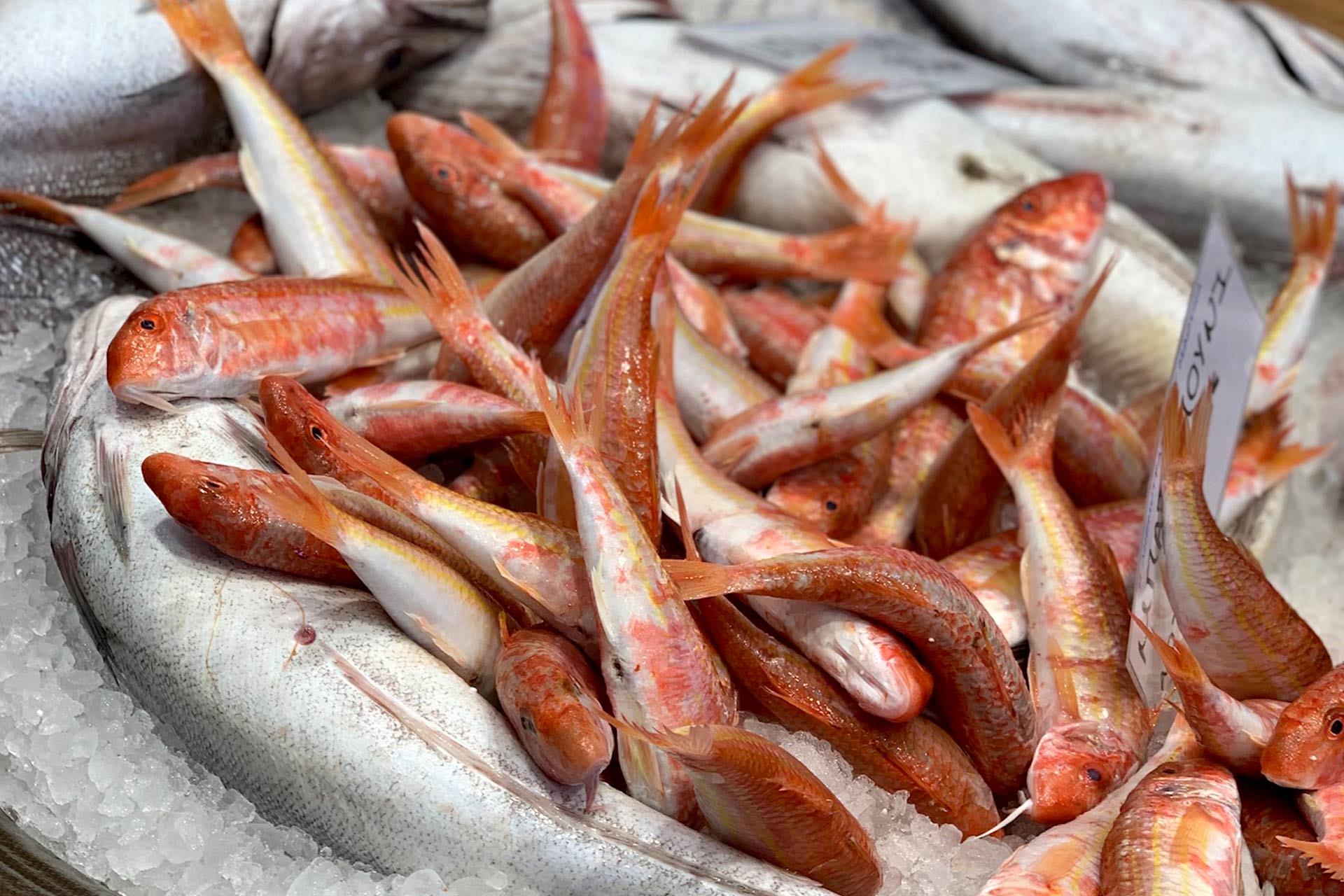 Welcome to Anemotrata Fish Market